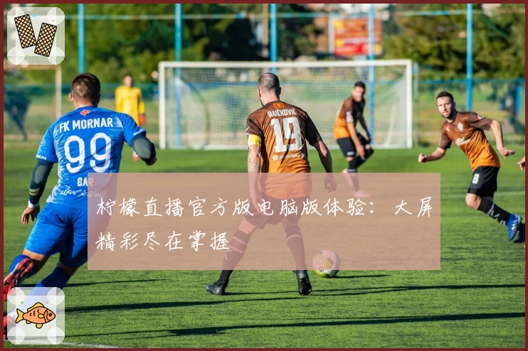 柠檬直播官方版电脑版体验：大屏精彩尽在掌握