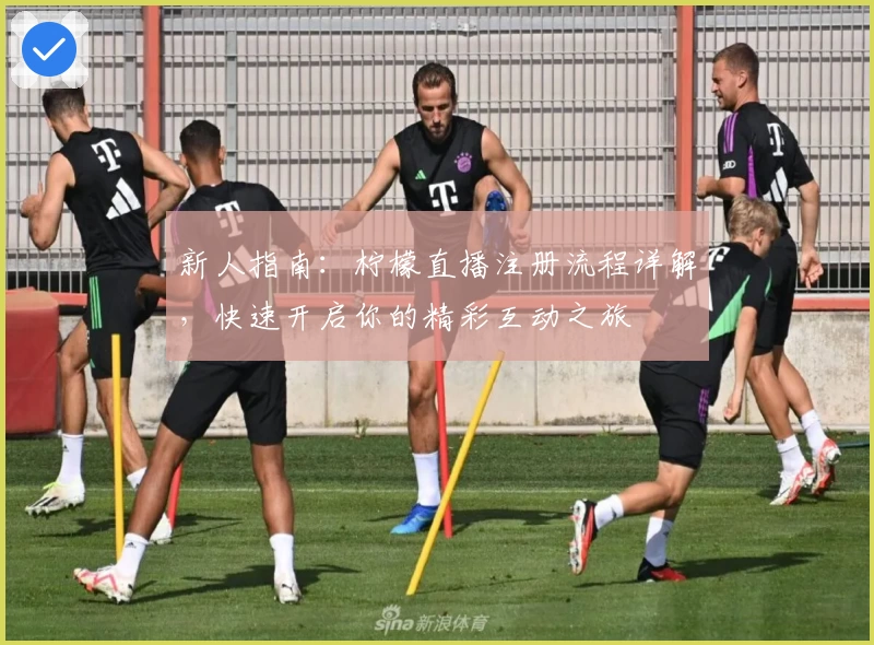 新人指南：柠檬直播注册流程详解，快速开启你的精彩互动之旅