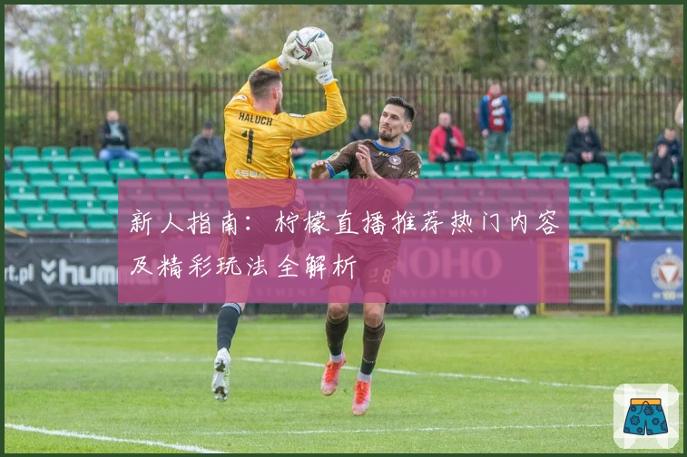 新人指南：柠檬直播推荐热门内容及精彩玩法全解析