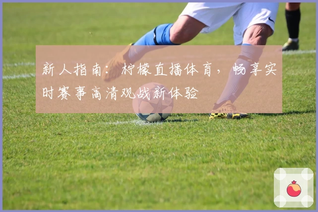 新人指南：柠檬直播体育，畅享实时赛事高清观战新体验